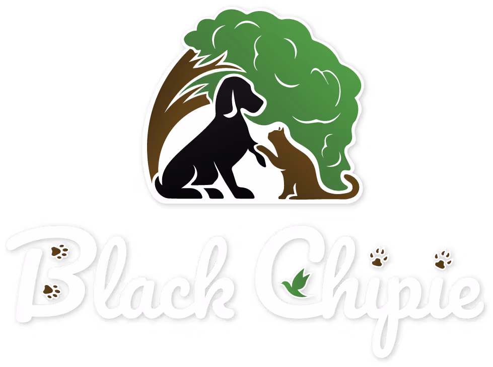 Black Chipie