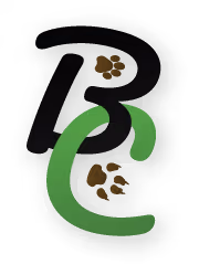 Black Chipie