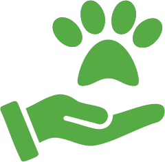 Garde d’animaux à Sainte-Foy-de-Peyrolières : chiens, chats & NAC 7 Soisn animalie vert 1
